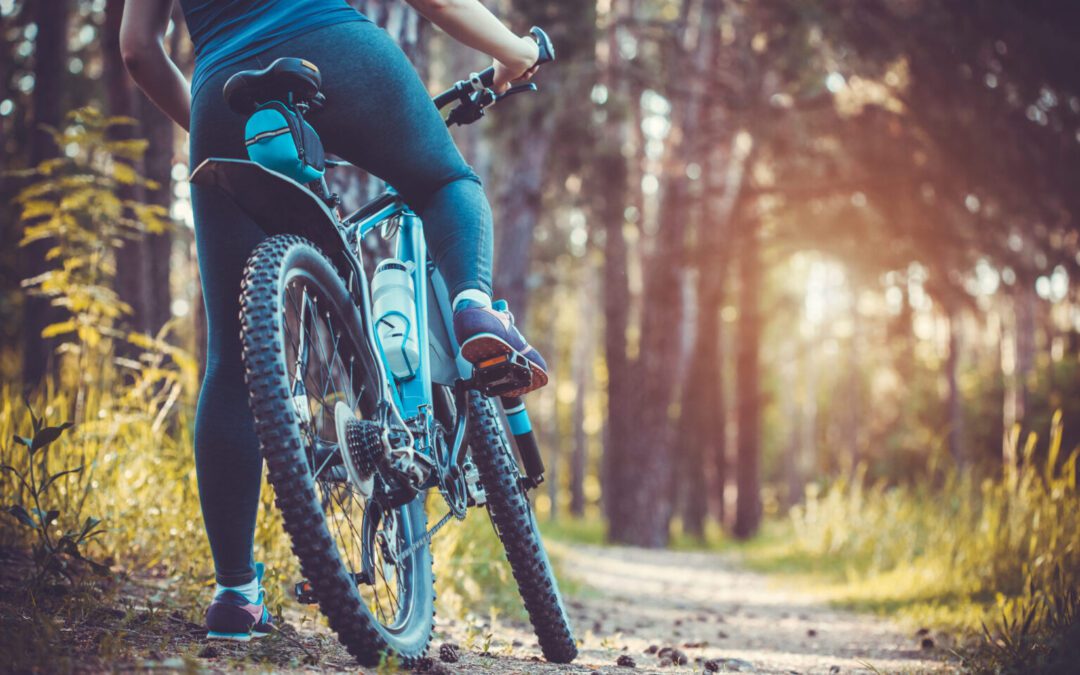 cyclist riding mountain bike in the forest